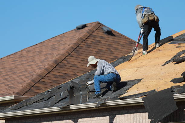 Metal Roofing